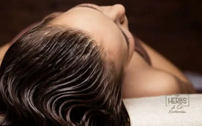 Tratamientos Capilares Naturales: Soluciones Ecológicas para tu Cabello