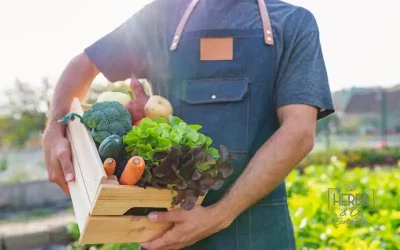 Alimentos Ecológicos: Los Mejores Productos para una Vida Sostenible