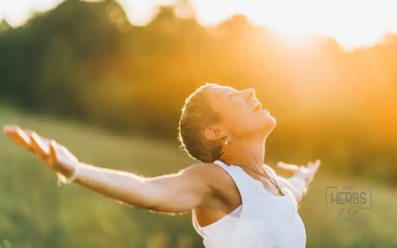 bienestar con cosmética bio 