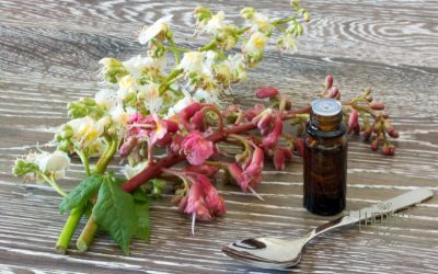 Cómo las Flores de Bach Mejoran el Bienestar Emocional y Mental
